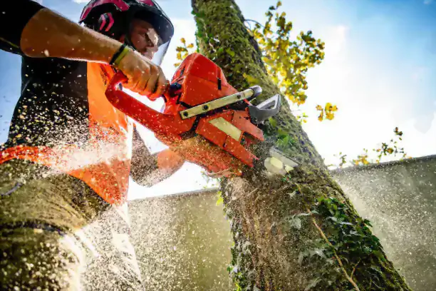 Arborist cutting a tree limb in a residential yard